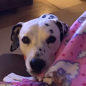 Meet your Posher, Tori